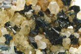 Lazulite Cluster with Siderite and Quartz - Yukon, Canada #283022-1
